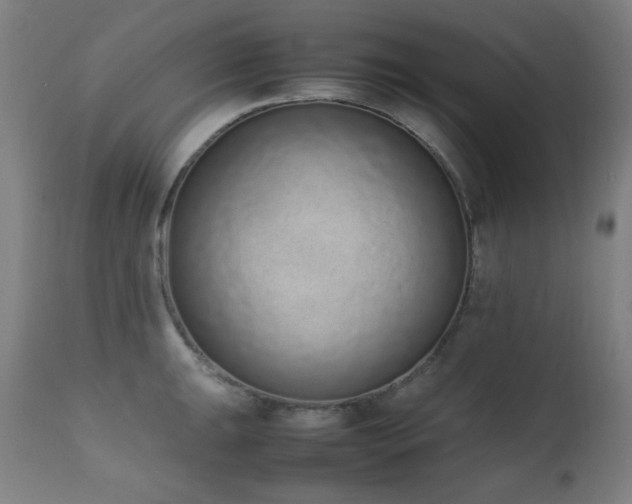 X0000111651047200907171540