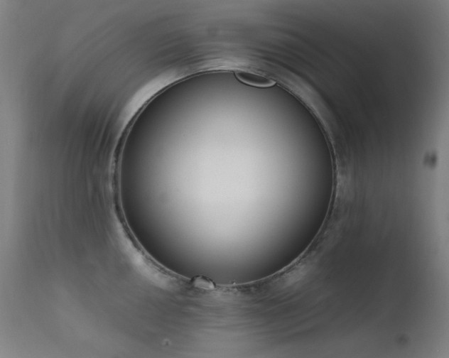 X0000111651050200907171540