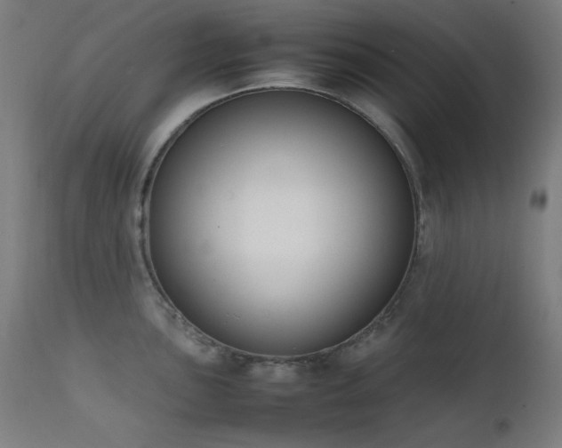 X0000111651051200907171540