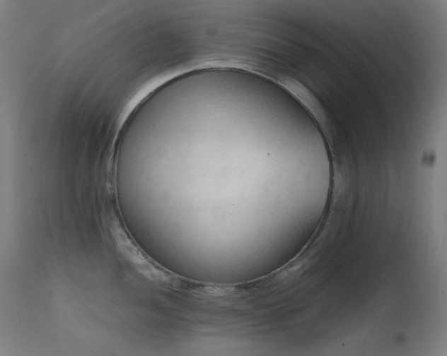 X0000111651052200907171540