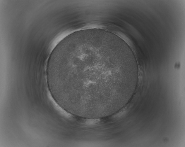 X0000111651055200907171540