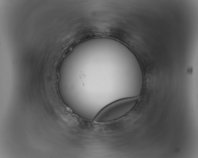 X0000111651057200907171539
