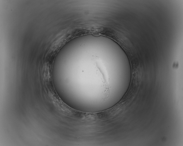 X0000111651058200907171539