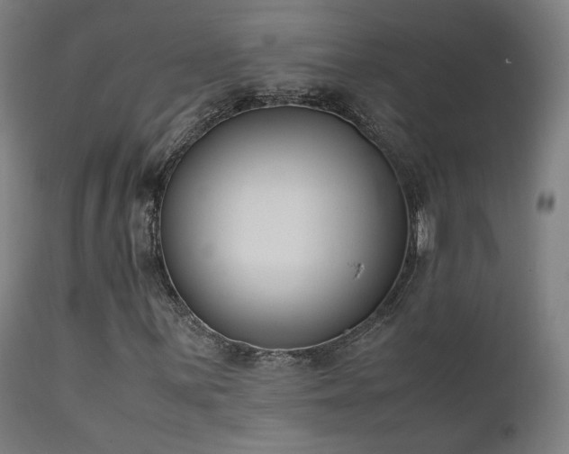 X0000111651059200907171539