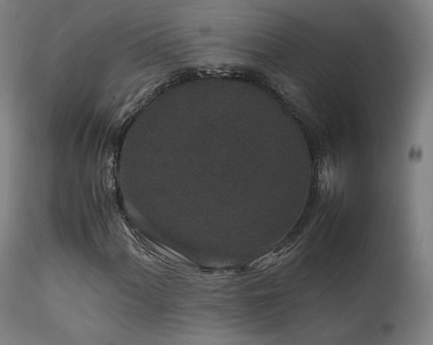 X0000111651060200907171539