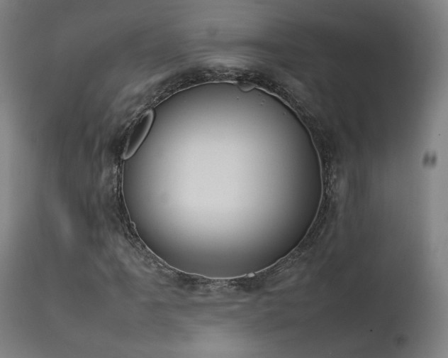X0000111651061200907171539