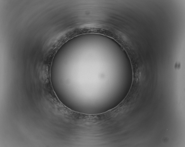 X0000111651062200907171539