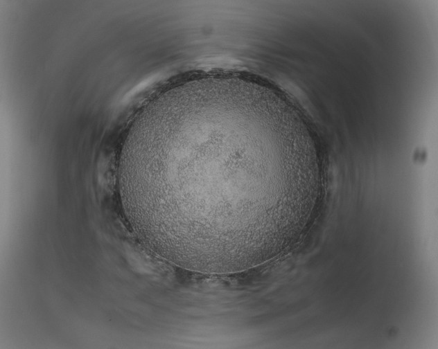 X0000111651063200907171539