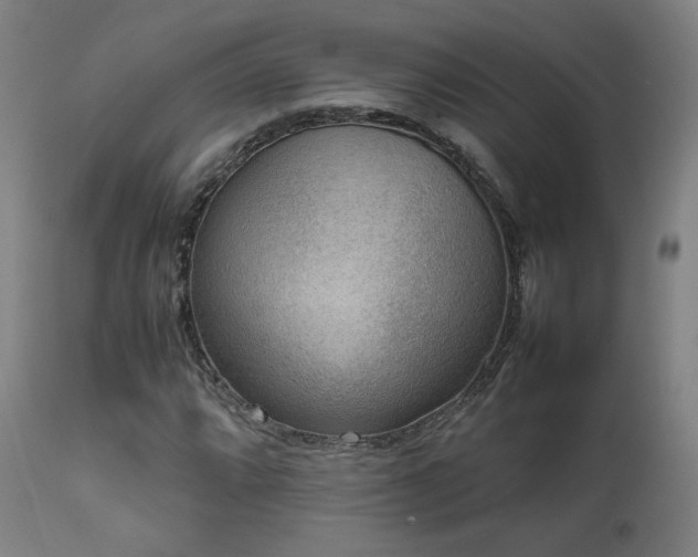 X0000111651064200907171539