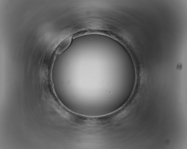 X0000111651065200907171539