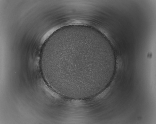 X0000111651066200907171539