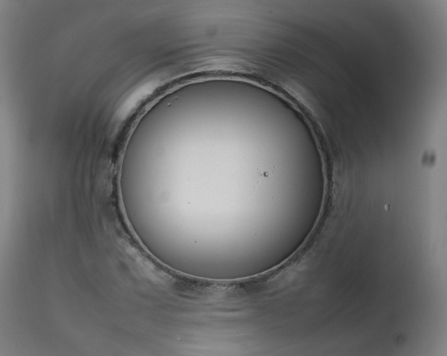 X0000111651067200907171539