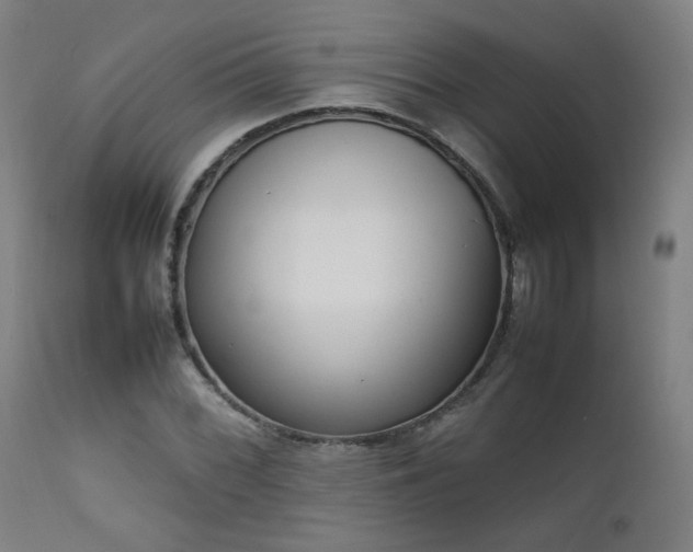 X0000111651068200907171539