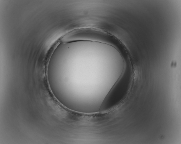 X0000111651069200907171539