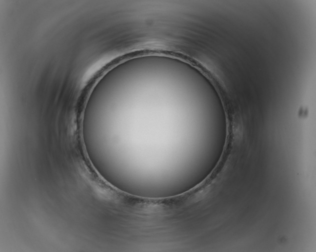 X0000111651070200907171539