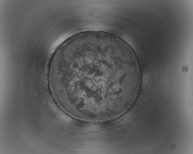 X0000111651071200907171539