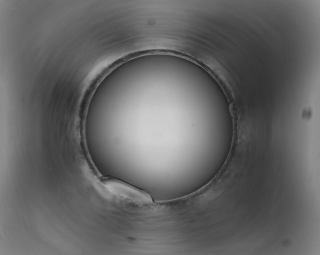 X0000111651072200907171539
