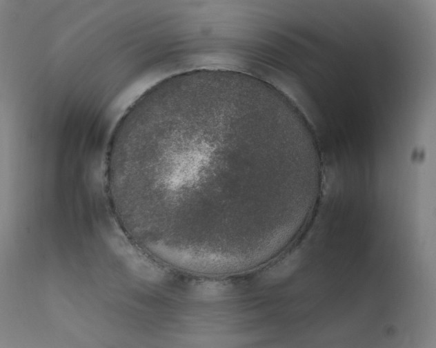 X0000111651074200907171539
