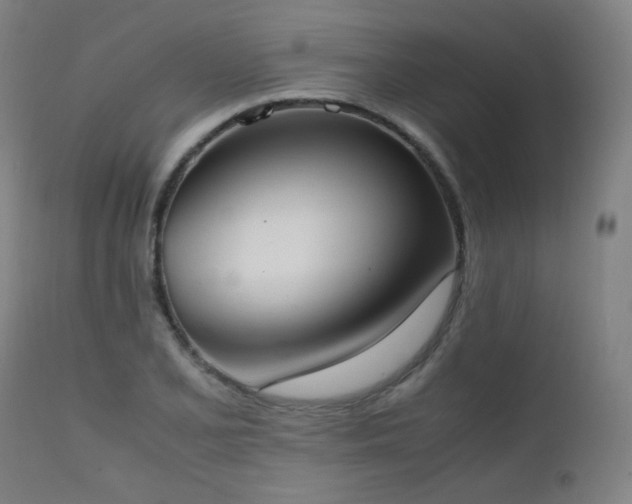 X0000111651077200907171539