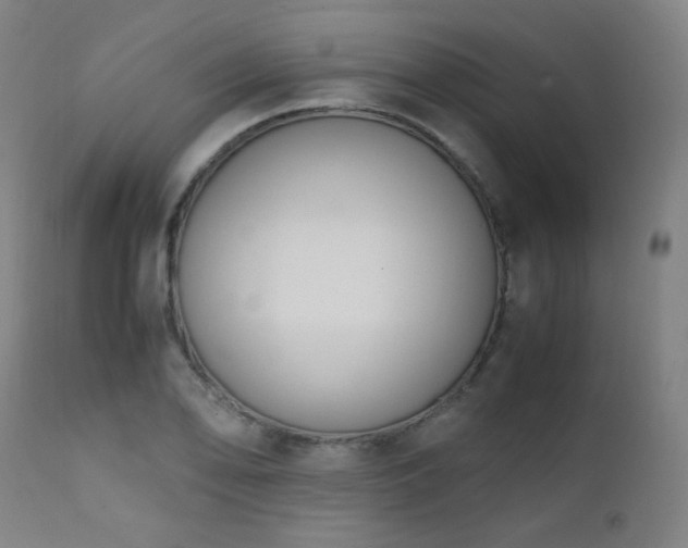 X0000111651078200907171539