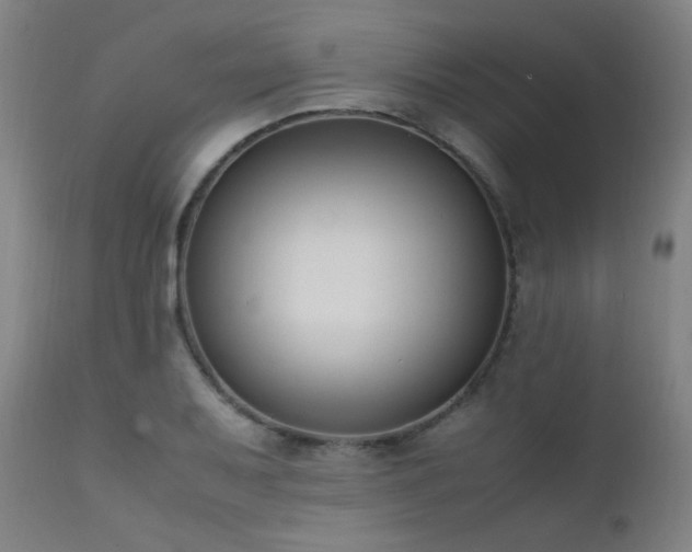 X0000111651079200907171539