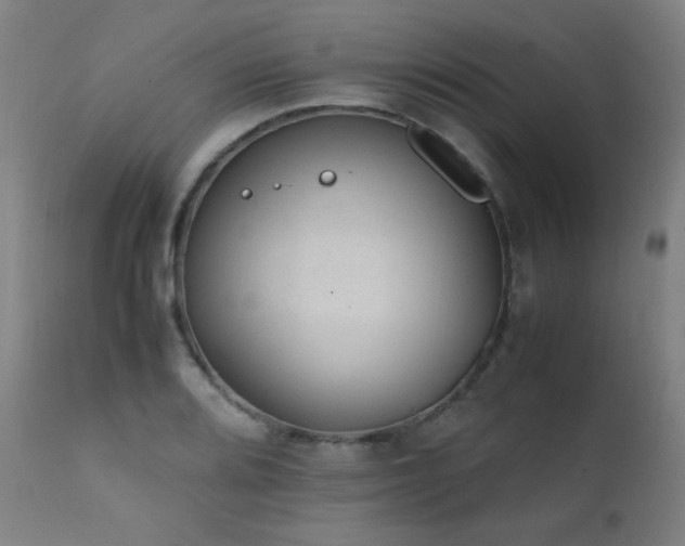 X0000111651080200907171539