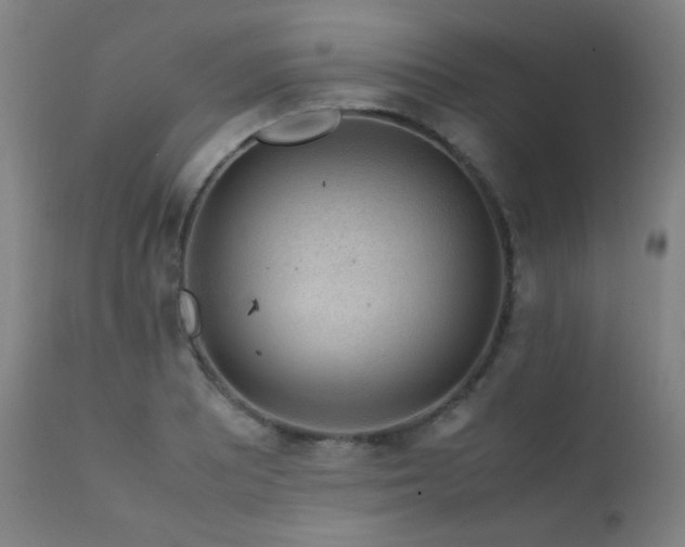 X0000111651081200907171539