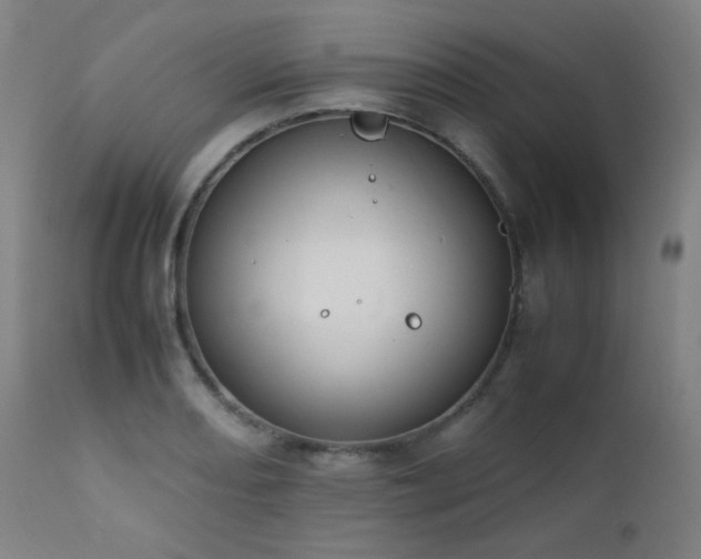 X0000111651082200907171539