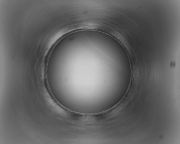 X0000111651083200907171539
