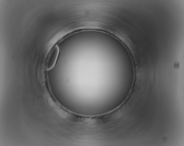 X0000111651085200907171539