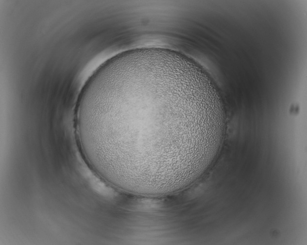X0000111651086200907171539