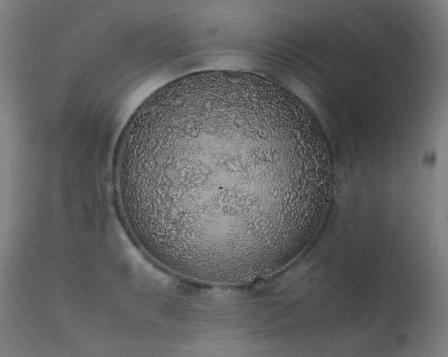 X0000111651087200907171539