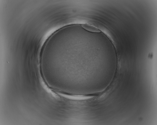X0000111651088200907171539