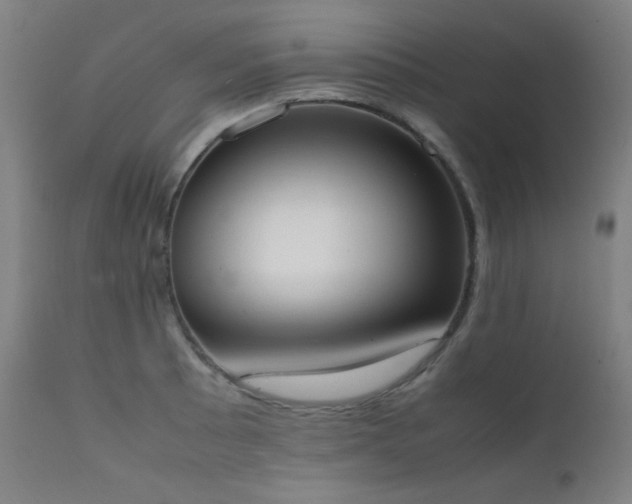 X0000111651089200907171539