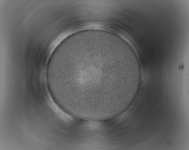 X0000111651090200907171539