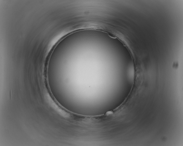 X0000111651091200907171539