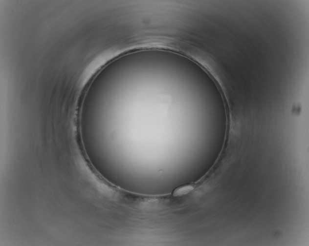 X0000111651093200907171539