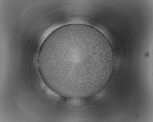 X0000111651094200907171539