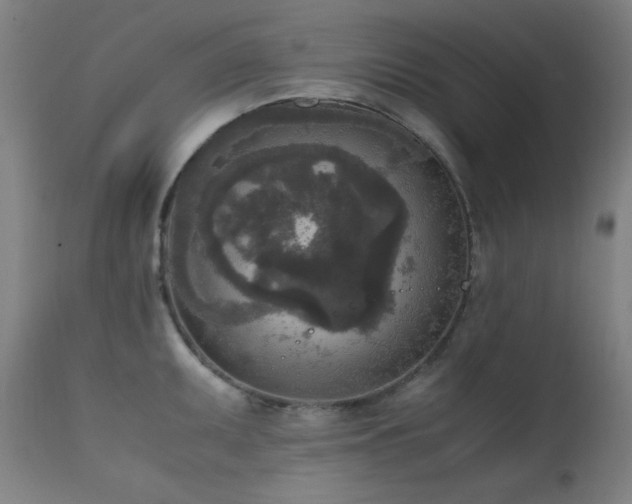 X0000111651095200907171539