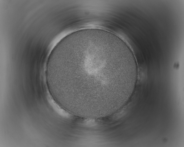 X0000111651098200907171539