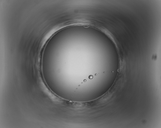 X0000111651099200907171539