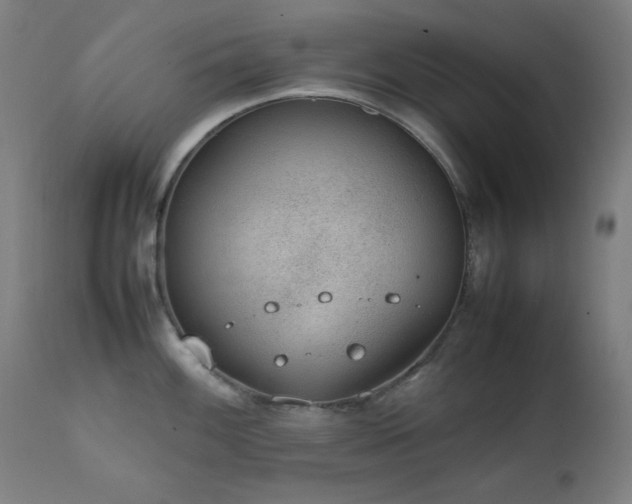 X0000111651100200907171539
