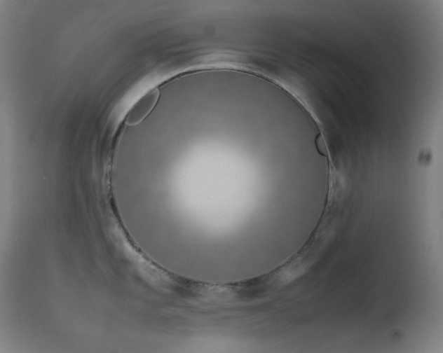 X0000111651101200907171538