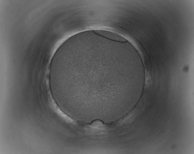 X0000111651102200907171538