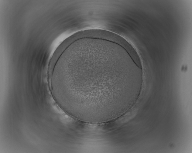 X0000111651104200907171538