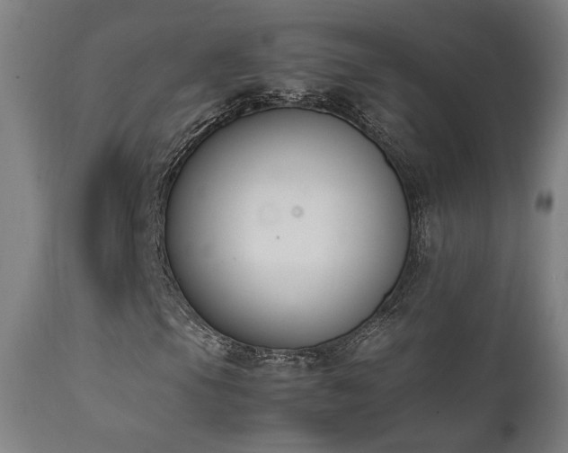 X0000111651105200907171537