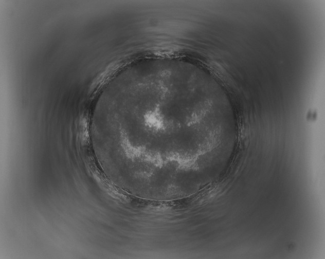 X0000111651106200907171537