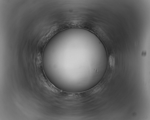 X0000111651107200907171537