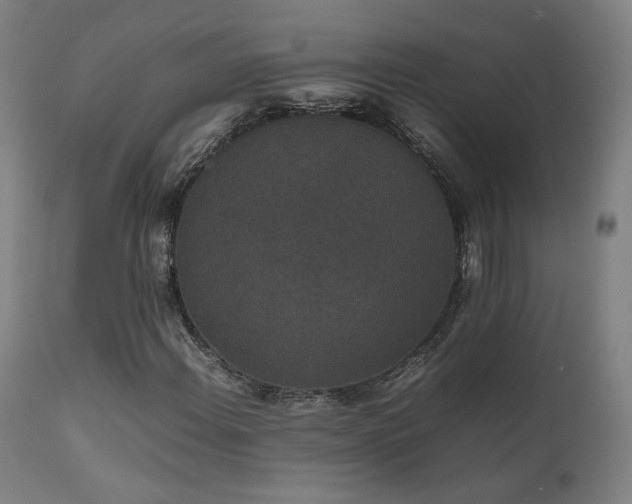 X0000111651108200907171537