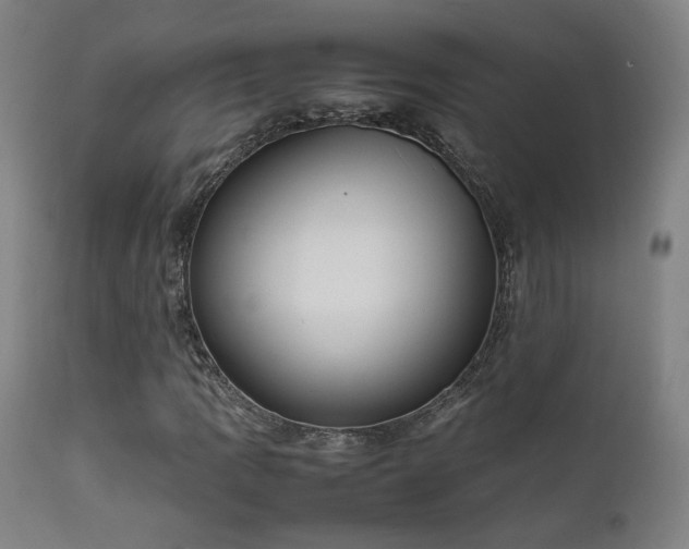 X0000111651109200907171538